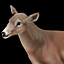 Deer_icon.png.79f6e401a95987b5ca7fd2c9ccfbfdd3.png