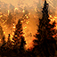 ForestFireIcon.png.c6028e4a0c01442cc6d594af0d9f5176.png